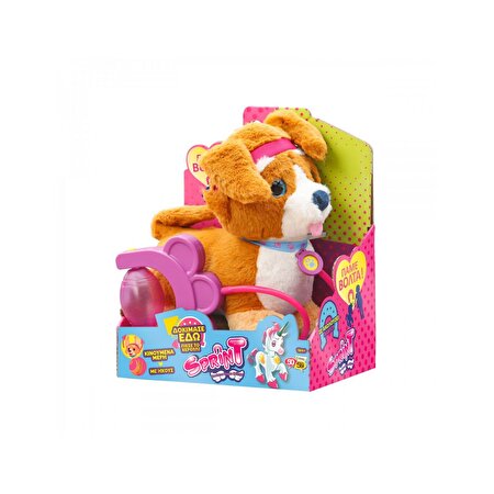 Sevimli Koşu Arkadaşım Latte