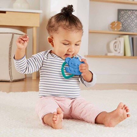 Fisher Price Sevimli Hayvancıklar Dişlikler Mavi Koala GYN26