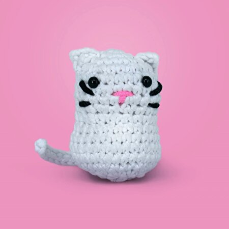 Kedoli Örgü Öğrenme Seti