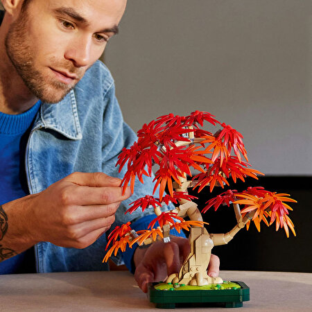 LEGO Botanicals Japon Kırmızı Akçaağaç Bonsai Ağacı 10348