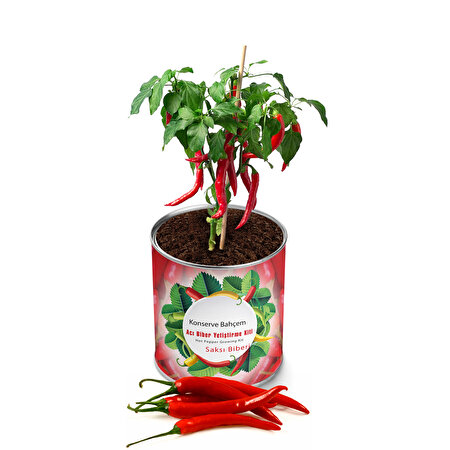 Konserve Bahçem Acı Biber Saksı Biberi Yetiştirme Kiti