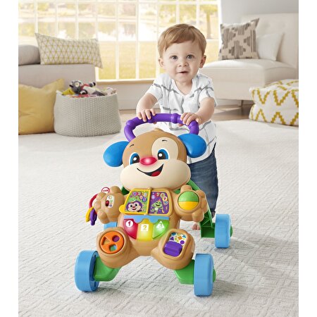 Fisher Price Eğlen ve Öğren Yaşa Göre Gelişim Eğitici Köpekçik Yürüteç FTG10