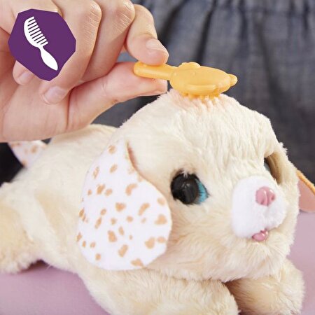 Yenidoğan Minik Dostum Köpekçik F4085