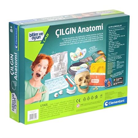 Bilim ve Oyun Çılgın Anatomi Beyin