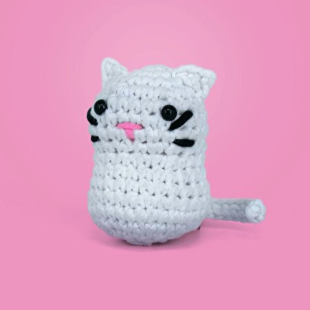 Kedoli Örgü Öğrenme Seti