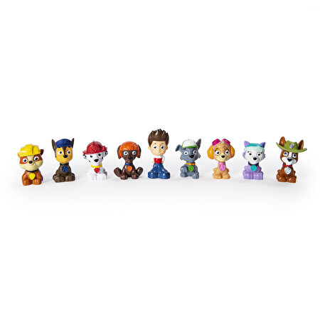Paw Patrol Sürpriz Mini Figür