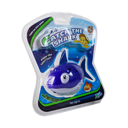 Işıklı Köpekbalığı Mavi