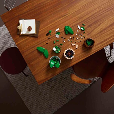 LEGO Botanicals Barış Çiçeği 11504