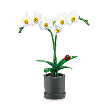 Mini Botanik Bahçe Sürpriz Paket