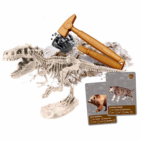 Clementoni Bilim ve Oyun: Dünyada Yaşamın Tarihi