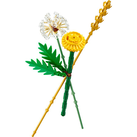 LEGO Botanicals Tarla Çiçekleri 30701