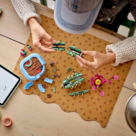 LEGO Botanicals Çiçekli Kaktüs 11509