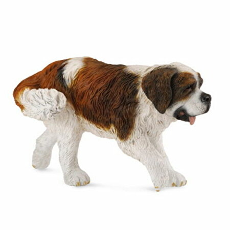 Collecta St Bernard