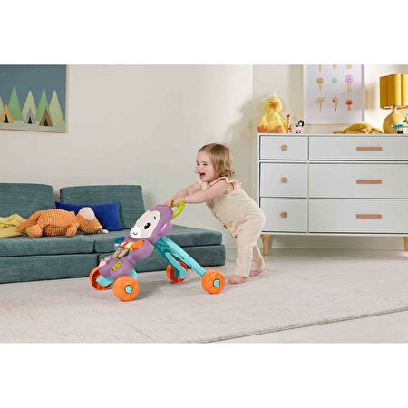 Fisher Price Sesli ve Işıklı Benimle Öğren Yürüteç JGW94