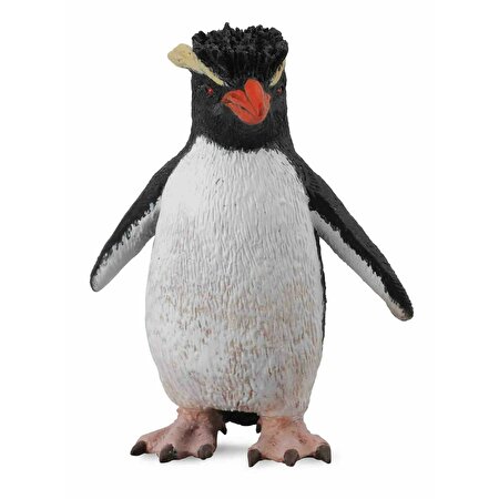 Collecta Kaya Pengueni