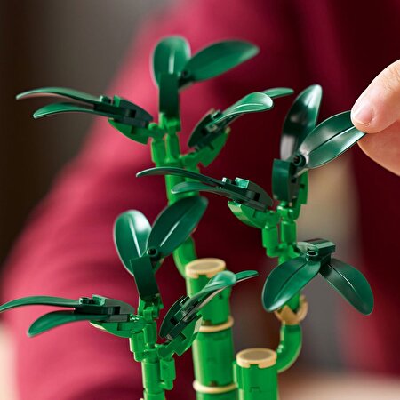 LEGO Botanicals Şans Bambusu 10344