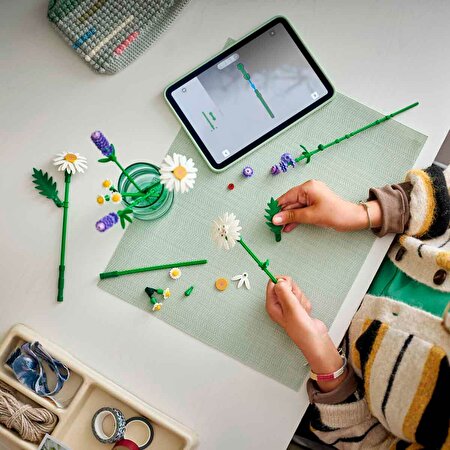 LEGO Botanicals Papatyalar 11508