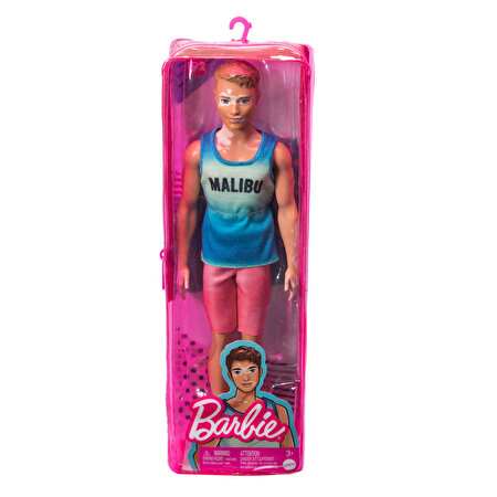 Barbie Yakışıklı Ken Bebekler HBV26