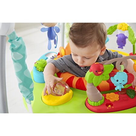 Fisher Price Yağmur Ormanı Jumperoo