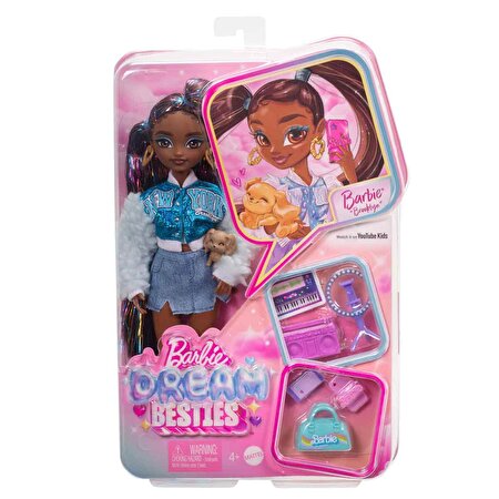 Barbie Dream Besties Brooklyn Bebek ve Aksesuarları HYC22