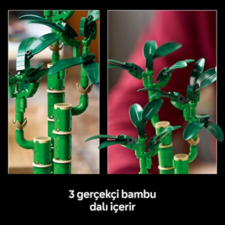LEGO Botanicals Şans Bambusu 10344