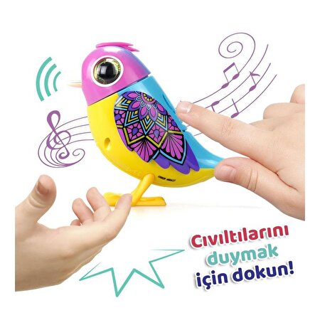 Digibirds Tekli Paket Seri 2 Sarı Mavi