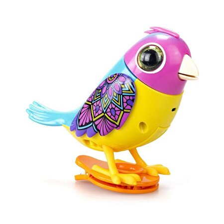 Digibirds Tekli Paket Seri 2 Sarı Mavi