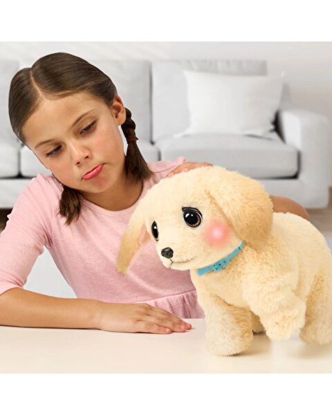 LLP Yavru Köpek İyileşiyor 26679