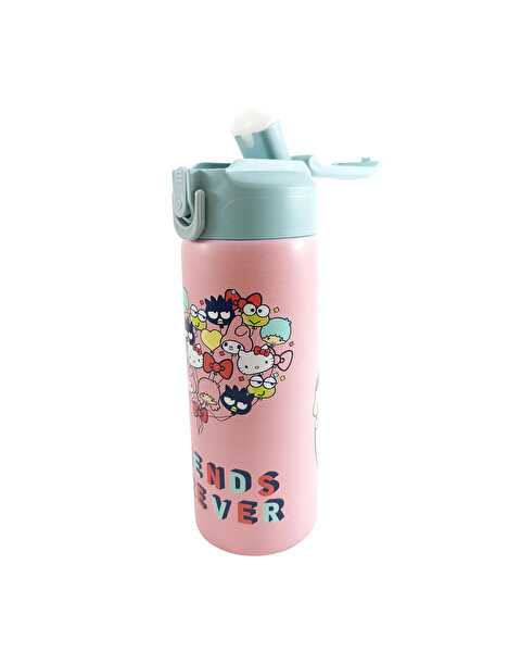 Hello Kıtty and Frıends 600 Ml Çelik Matara