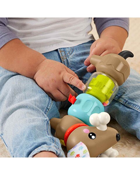 Fisher Price Köpekçikle Eğlenceli Aktiviteler HTW91