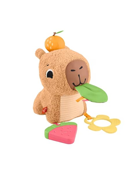 Fisher Price Cuddly Capybara HYR54