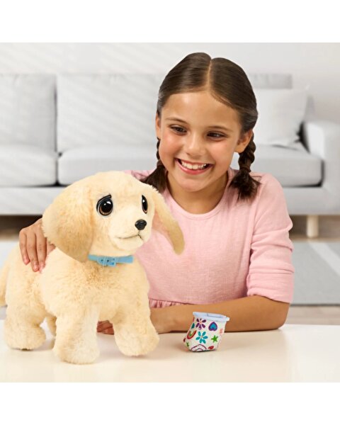 LLP Yavru Köpek İyileşiyor 26679