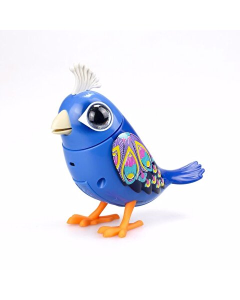 Digibirds İkili Paket Seri 1