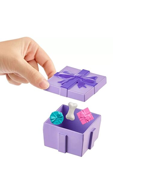 Polly Pocket Polly'nin Doğum Günü Partisi Paketi JCC33