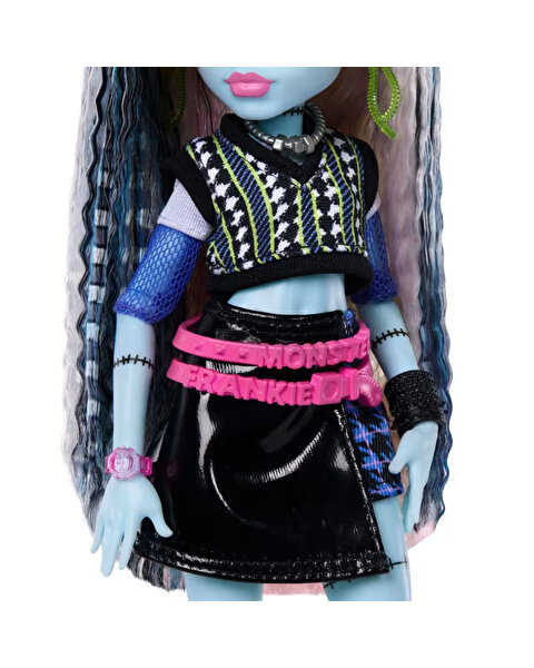 Monster High Ana Karakter Bebekler Frankiestein JHK31