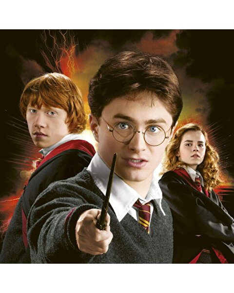 Harry Potter Hafıza Oyunu