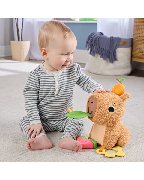 Fisher Price Cuddly Capybara HYR54