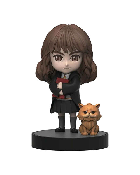 Harry Potter Hero Box Classic Seri Hermione Granger