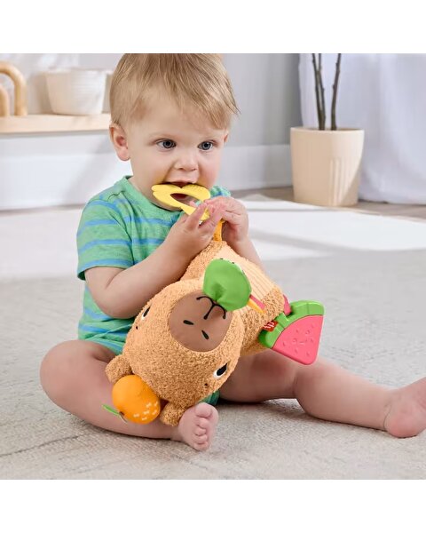 Fisher Price Cuddly Capybara HYR54