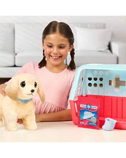 LLP Yavru Köpek İyileşiyor 26679