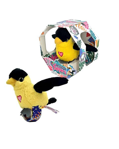 Happy Yappers Slap Bant Konuşan ve Taklit Eden Oriolus Papağan