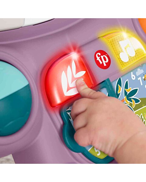 Fisher Price Sesli ve Işıklı Benimle Öğren Yürüteç JGW94