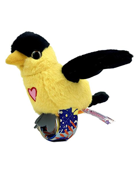 Happy Yappers Slap Bant Konuşan ve Taklit Eden Oriolus Papağan