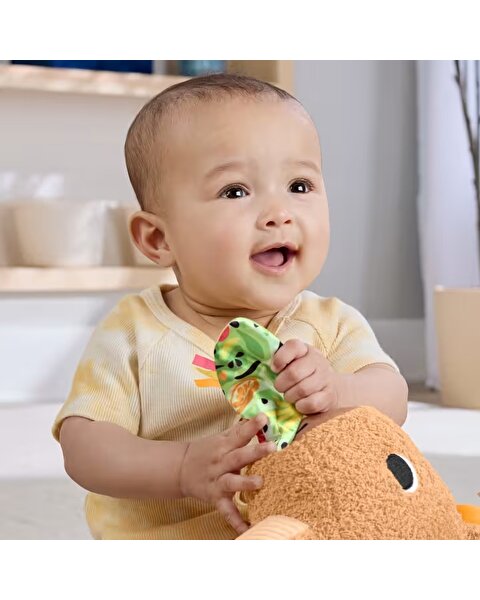 Fisher Price Cuddly Capybara HYR54