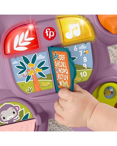 Fisher Price Sesli ve Işıklı Benimle Öğren Yürüteç JGW94