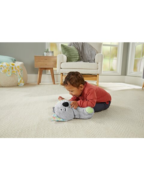 Fisher Price Uyku Arkadaşı Koala GRT59