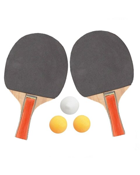 Altis Masa Tenisi Raket+Top Set