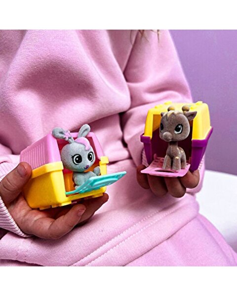 House Pets Evcil Hayvanlar Sürpriz Paket