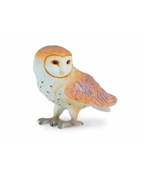 Collecta Baykuş