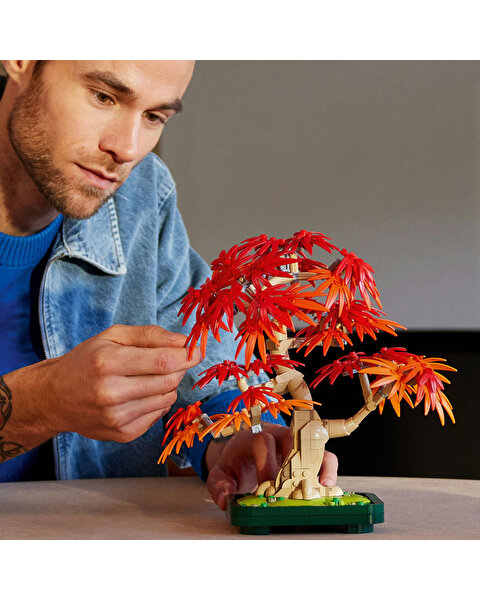 LEGO Botanicals Japon Kırmızı Akçaağaç Bonsai Ağacı 10348